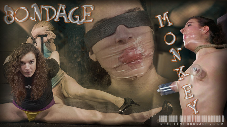 Bondage Monkey Part 1