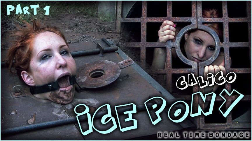 Ice Pony I